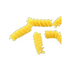 Spirelli
